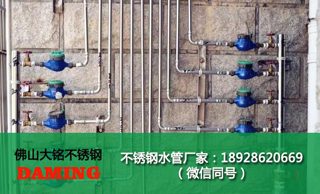 316L食品衛生級榴莲视频APP官网水管